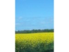 20140513 121538